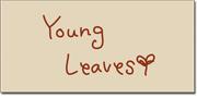 Young Leaves (ヤングリーブス）